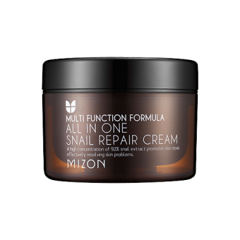 MIZON All in One Snail Repair Cream 120ml