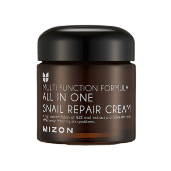 MIZON All in One Snail Repair Cream 75ml